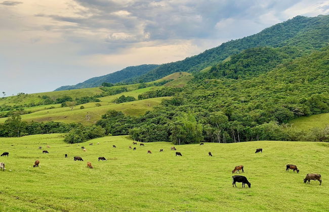 Estadero Bello Horizonte - Foto 15