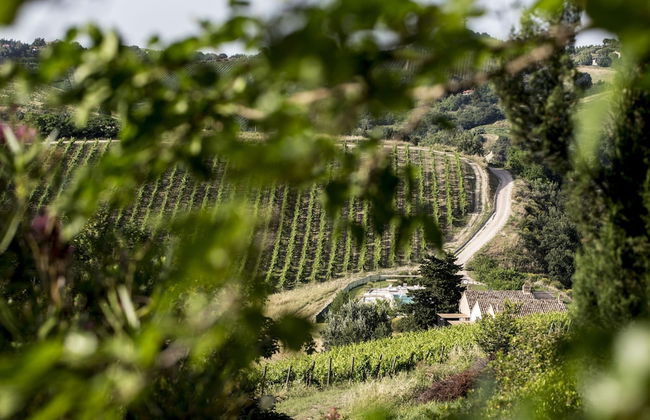 Apartment in Ascoli Near Sea Beach - Foto 33