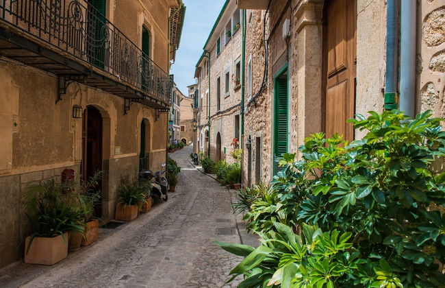 S Olivaret Fornalutx - Photo 24