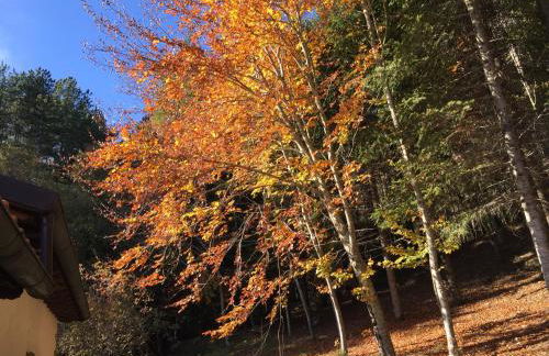 Casa Camporino - Foto 52