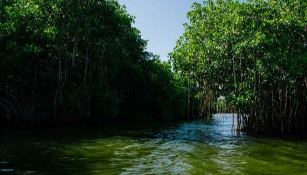 Contemplando la naturaleza de la zona