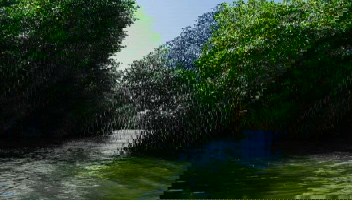 Exploring Ciénaga's nature