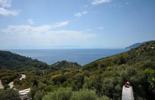 Olive Tree House - Foto 31