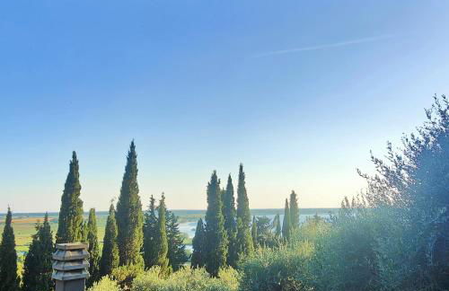 Massaciuccoli Romana - Foto 36