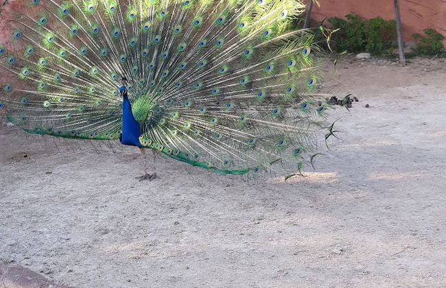 Private House near Port of Piraeus - Foto 8