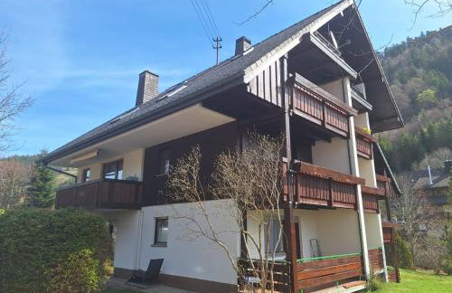 Gemütliche Ferienwohnung in Sankt Blasien - Foto 6