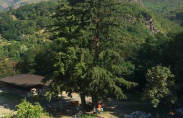 Agriturismo LA TAVERNA DEL NONNO - Foto 28