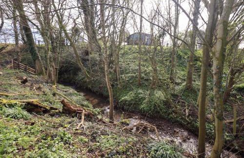 Yew Tree Cottage - Photo 39