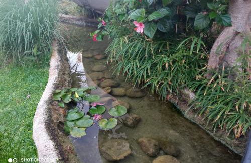 Apartamento Amanecer Laguna Beach Torrox costa - Photo 30