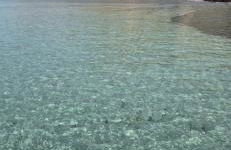 Al Civico 365 - Foto 36