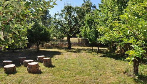 La Quinta Del Chocolatero - Photo 3