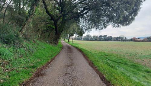 Studio au calme les hirondelles - Foto 4