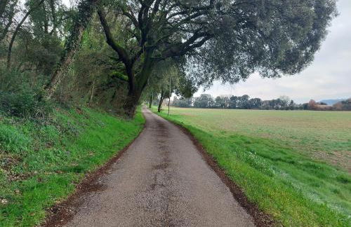 Studio au calme les hirondelles - Foto 4