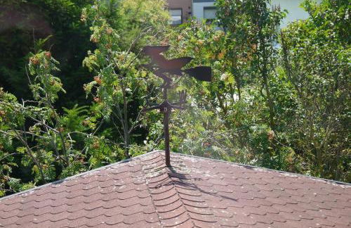 Brocken in Sicht - Foto 20