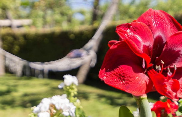 Casa de Marcelo - Photo 46