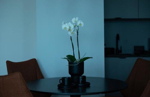 Apartamenty Janasa 13 - Foto 35