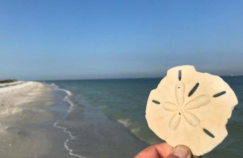 Beachfront Lovers Key - Photo 29