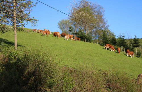 Schwoererhof - Photo 6