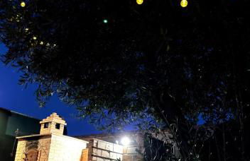 Dos Olivas - Foto 39