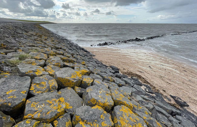 Ebbe Comfortable Holiday Residence - Foto 25