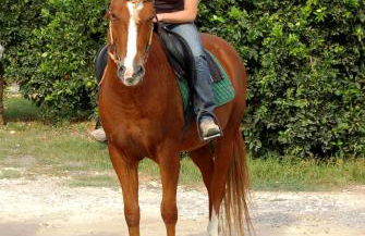 Il Giardino del sole - Foto 108