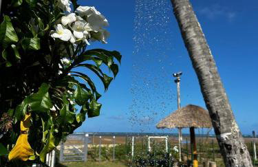 Home Beach Peroba, Maragogi,alagoas - Foto 18