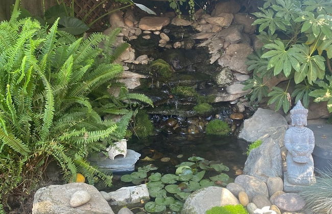 Large Groups Sequoia Park, CA Coast Wineries, Skiing. Enjoy Fire Pit, Hot Tub, Outdoor Kitchen - Foto 26