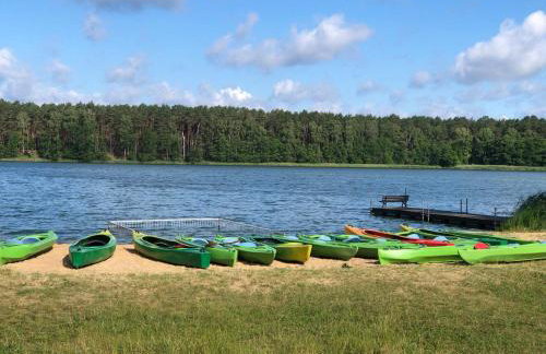 Las Biala's - Domki z sauną i jacuzzi w Puszczy Noteckiej - Tylko dla dorosłych - Foto 45