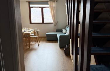 Appartement Pla d'Adet Saint Lary - Photo 2