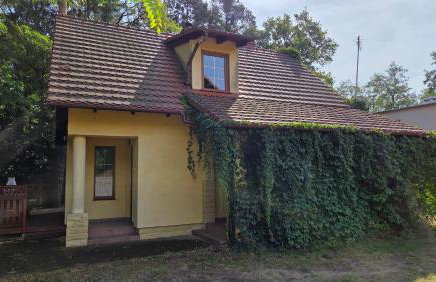 Żółty Domek nad Jeziorem Lubniewice - Foto 11