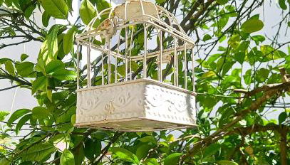 Apartments Donda - Photo 2