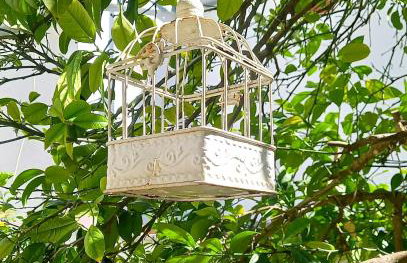 Apartments Donda - Photo 2