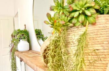 1.0 Relaxen am Kloster Johannisberg - Foto 28