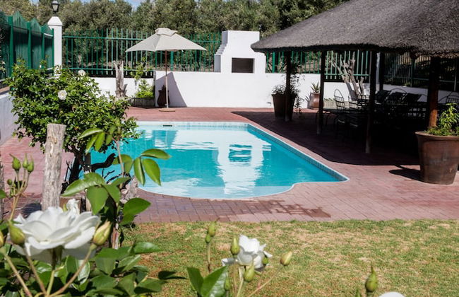 Olive Grove Guest Farm - Foto 18