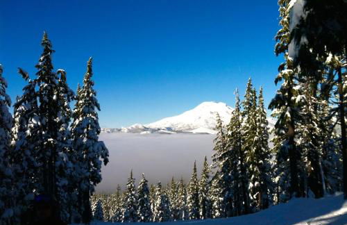 Bluebird Day - Canyon Retreat - Foto 30