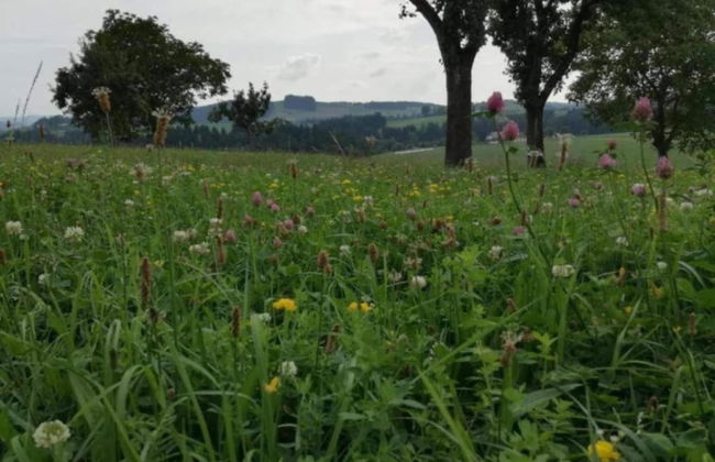 Gorgeous Holiday Home in Altenfeld Thuringia - Foto 54