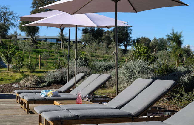 Quinta da Amendoeira - The Farmhouse - Photo 53