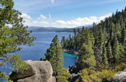 Lakeland Village #110 - Foto 41