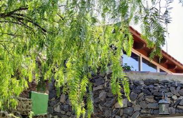 Finca La Ladera - Foto 16