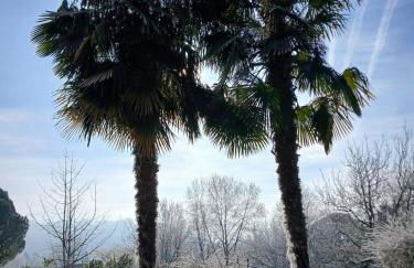 Maisonette paisible à La Roque-Gageac - Foto 17