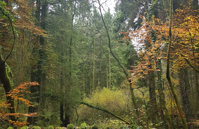 3 Bedroom Cottage - Hot Tub, Garden, Parking - Foto 27