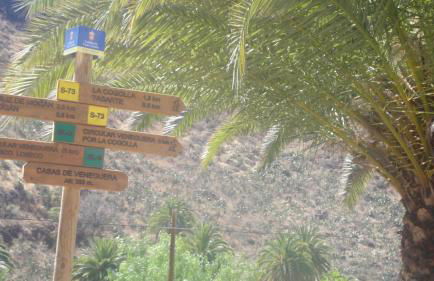 Casa El Pino - Foto 36