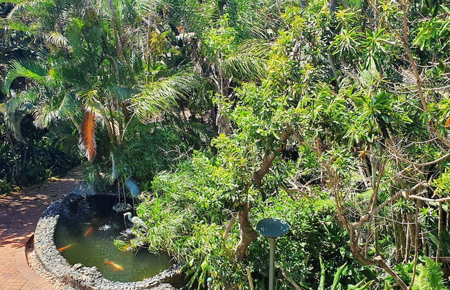 Zimbali beach estate - Foto 65