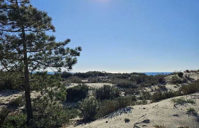 Tr ia Beach House With Pool - Foto 50