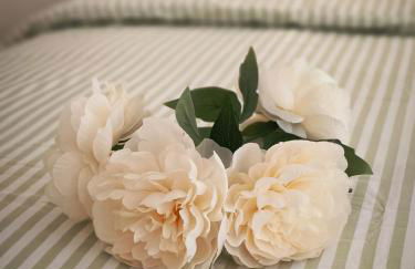 Apartement Duplex proche Paris, Aéroport CDG Stade de France Parc Expo Villepinte - Foto 10