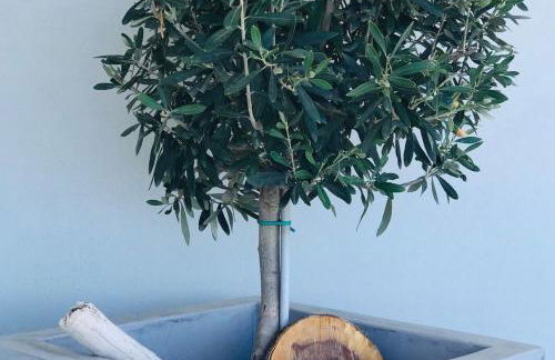 Summer Vibes - Photo 26