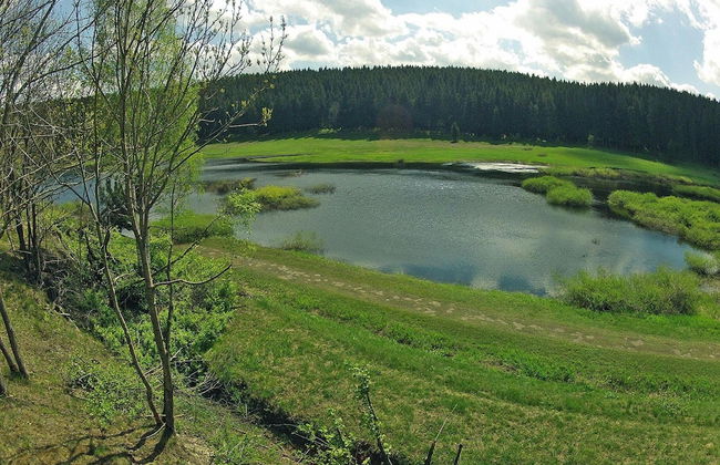 Log Cabin in Hasselfelde Near Harzer-hexen-stieg - Foto 17