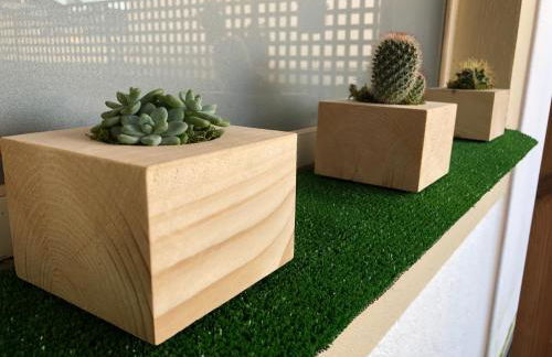 Meia Laranja - Foto 18