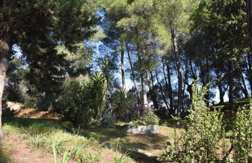 Azienda Agrituristica Biologica Il Querceto - Foto 17