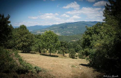 Castello di Sarna - Foto 6